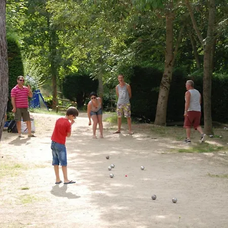 Chalet, Animaux Admis - 6 Pers. - Api-1-52-2454 Kemp